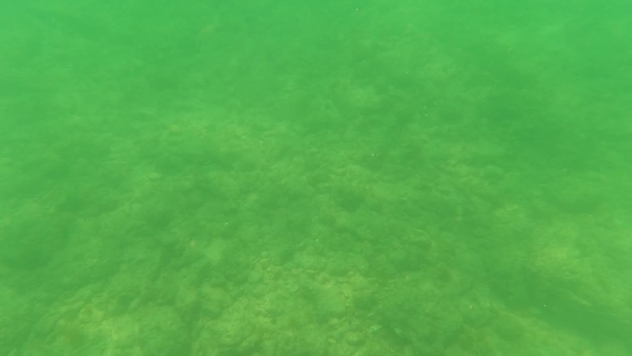 Shallow green water over uneven ocean floor