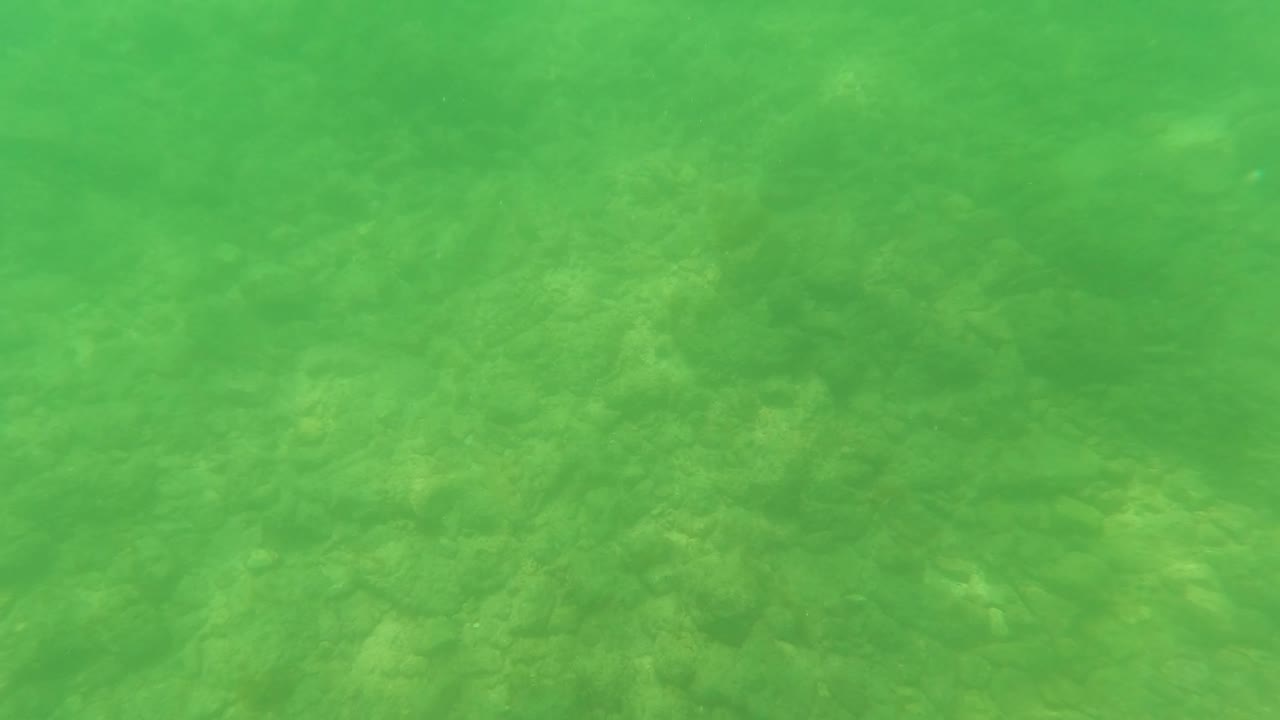 Mid-clip underwater view in San Jose Del Cabo showing green-tinted water over a mottled sandy and rocky bottom, with no visible people.