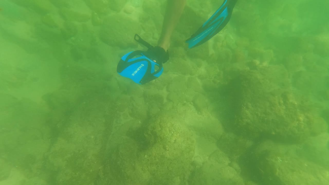 Blue swim fins enter near the upper left over a green rocky seabed in San Jose Del Cabo, with no visible face.