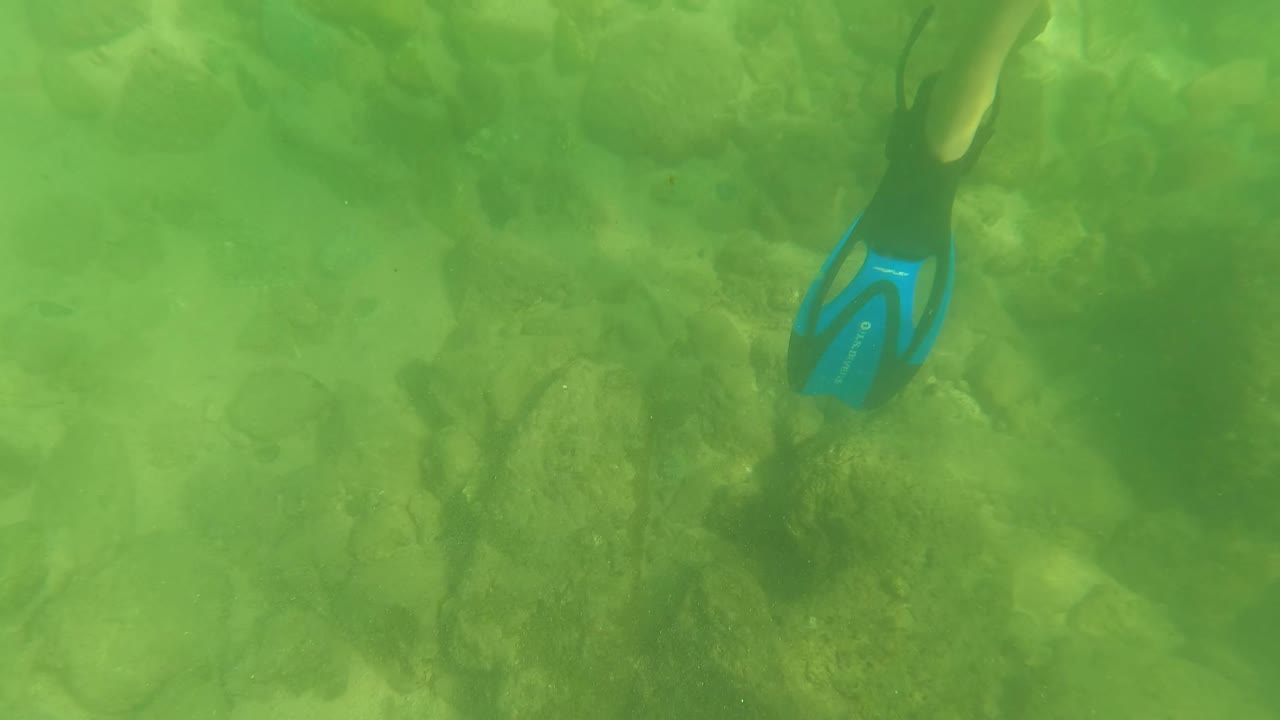 A pair of blue fins appears near the upper center above green water and submerged rocks in San Jose Del Cabo, with no visible face.