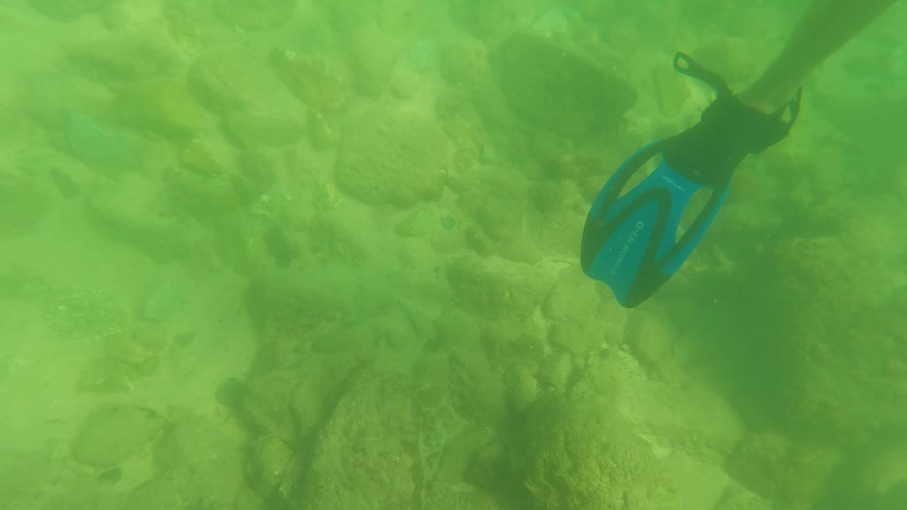 Blue swim fins move toward the upper right edge while green water reveals rocks and sand below in San Jose Del Cabo, with no visible face.