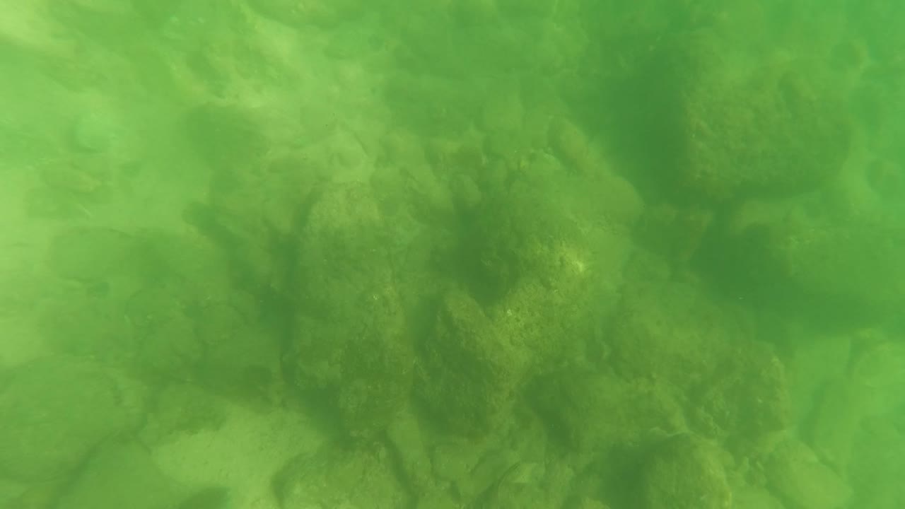 Green underwater view of rocks and sand
