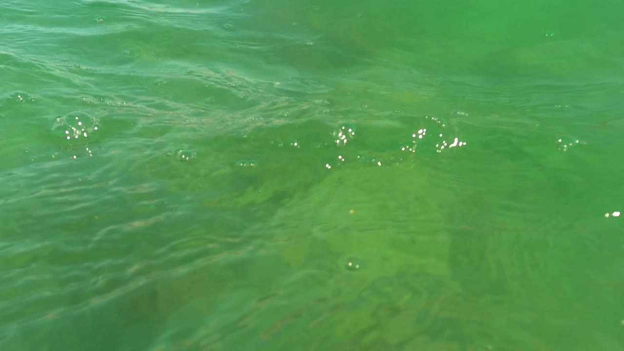 Green-tinted water surface in San Jose Del Cabo with ripples, small bubbles, and faint seabed shapes below, no visible people.