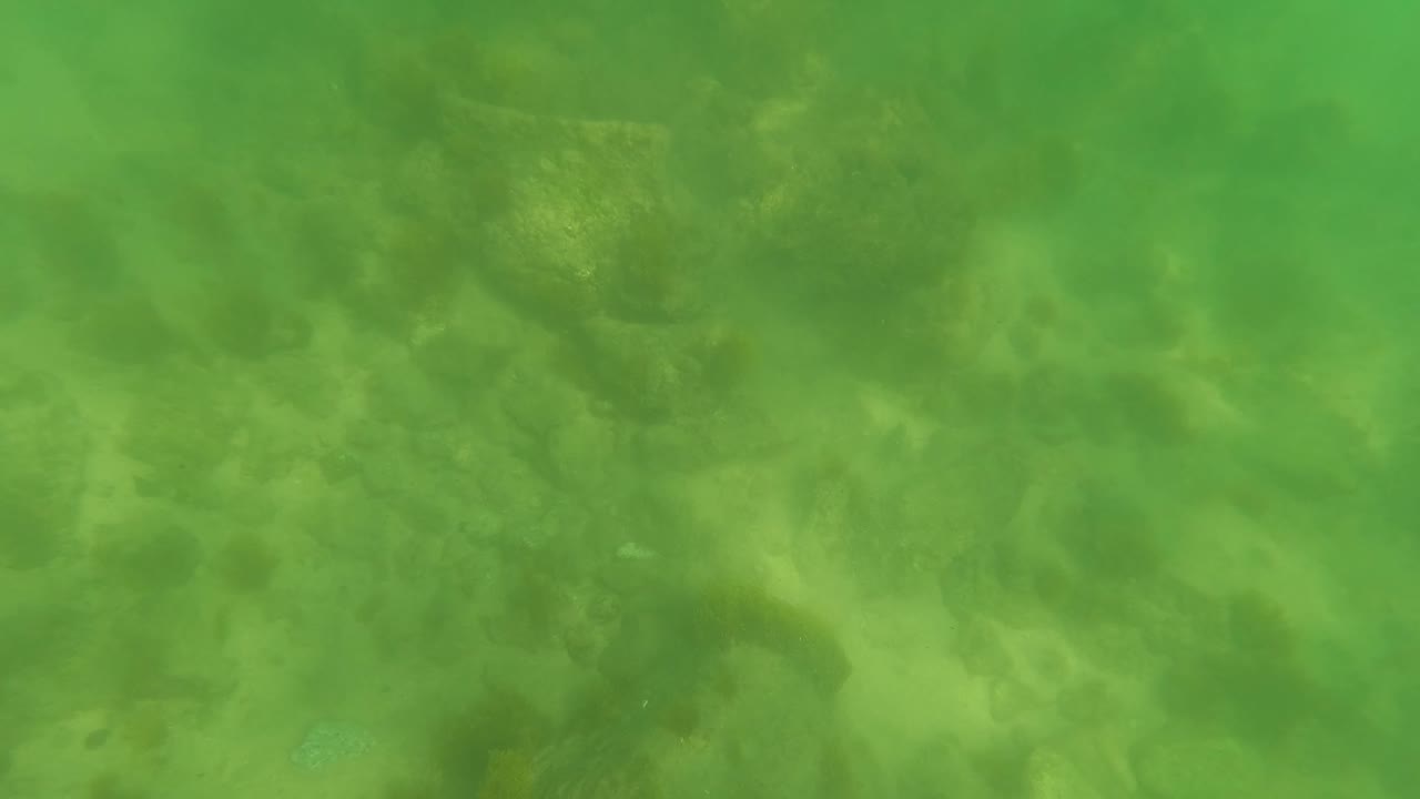 Green underwater view with hazy rocks below the surface