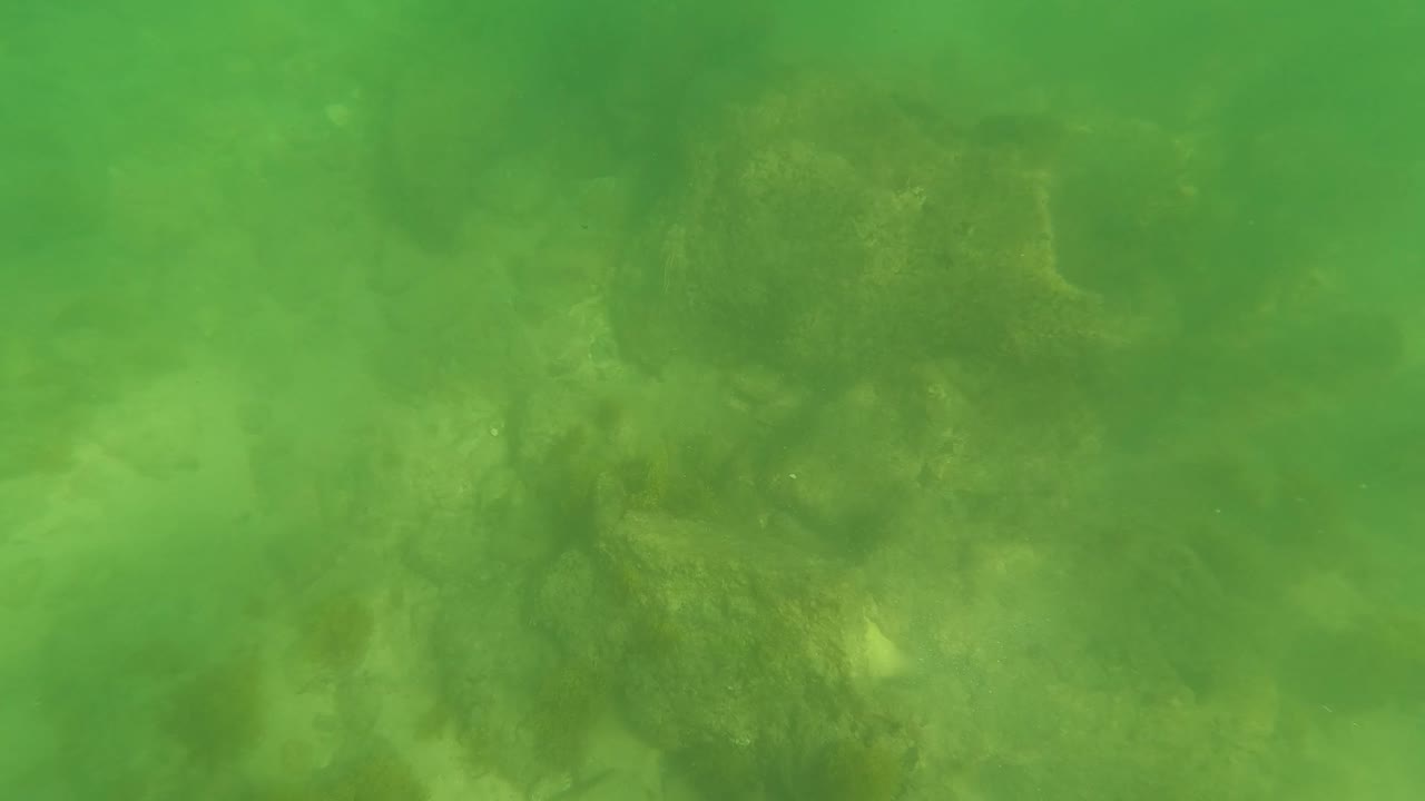 Green-tinted water over a rocky and sandy seabed in San Jose Del Cabo, with no swimmer visible in the frame.
