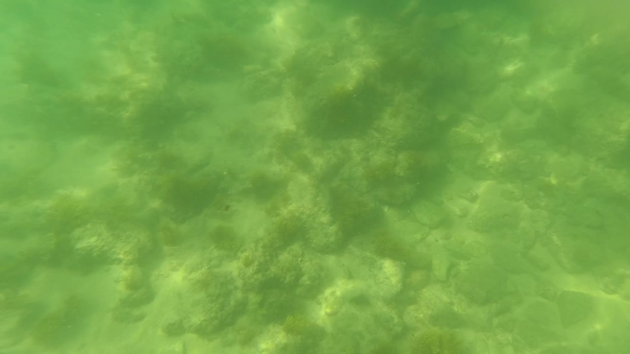 Underwater frame in San Jose del Cabo showing green water over a rocky sandy seabed with no visible people.
