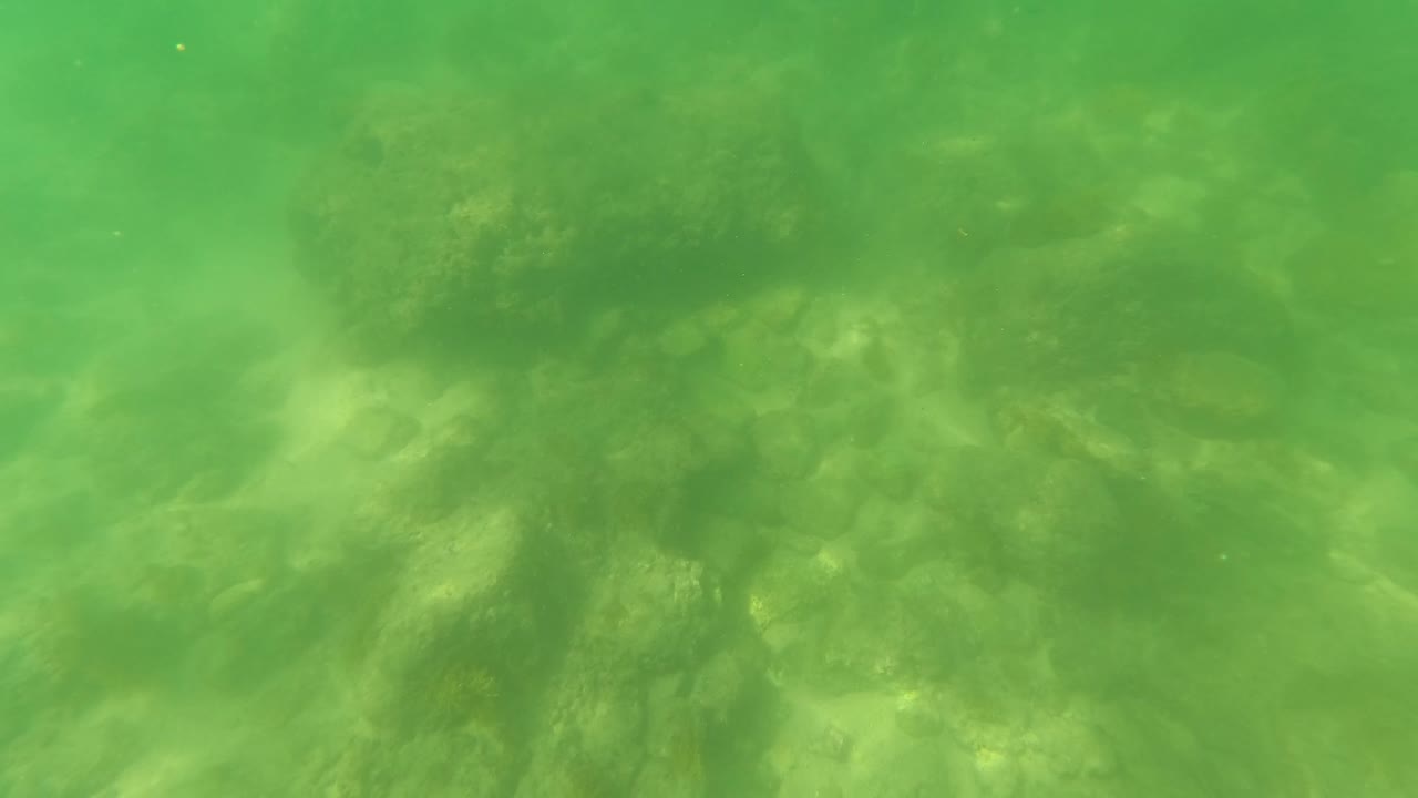 Underwater rocks seen through green water