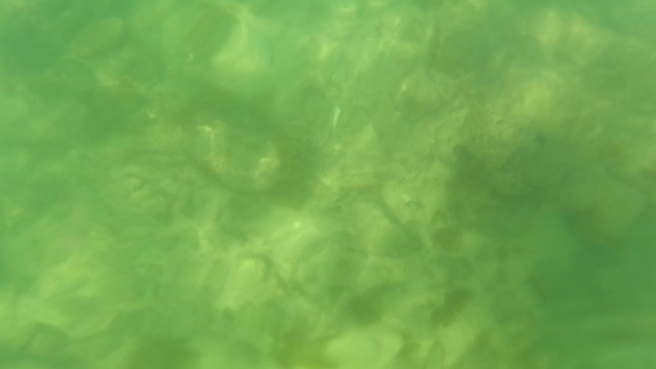 Underwater San Jose del Cabo frame with mottled rocks across the seabed and brighter green light near the center, with no visible people.
