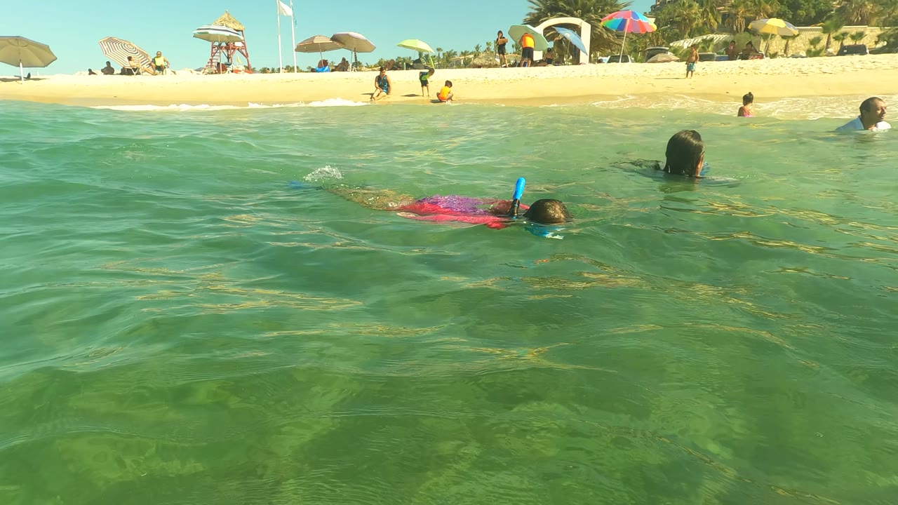 The waterline view shows a snorkeler at right, another swimmer ahead, and beach umbrellas spread across the San Jose del Cabo shoreline.