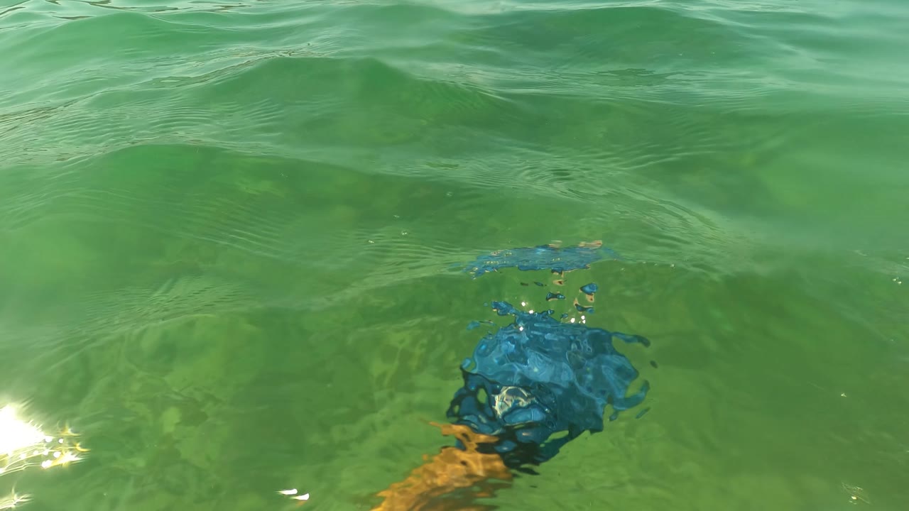 Green ocean surface with a blue fin or swimmer gear partly visible underwater