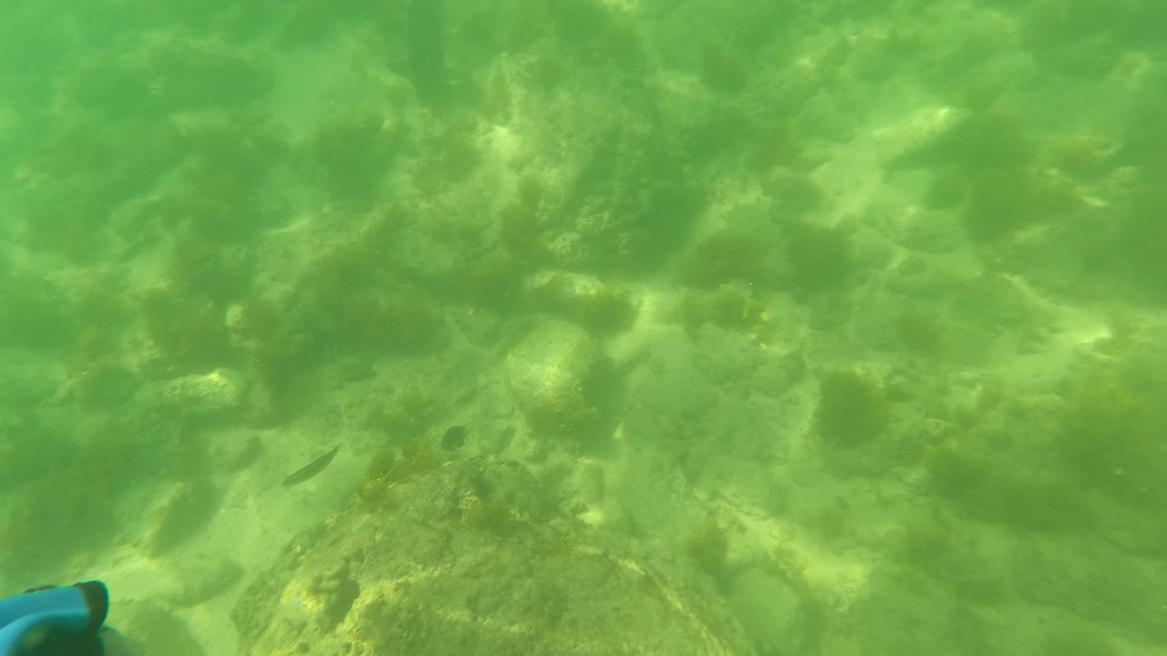Fourth frame in San Jose Del Cabo shows green underwater rocks and algae, with a partial blue object entering at the lower left edge and no visible people.