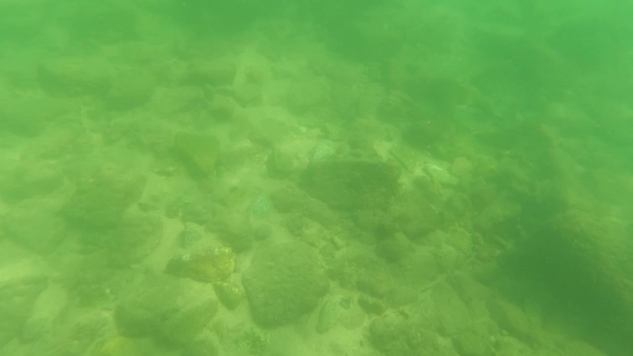 Green underwater view of rocks and sand on a riverbed.