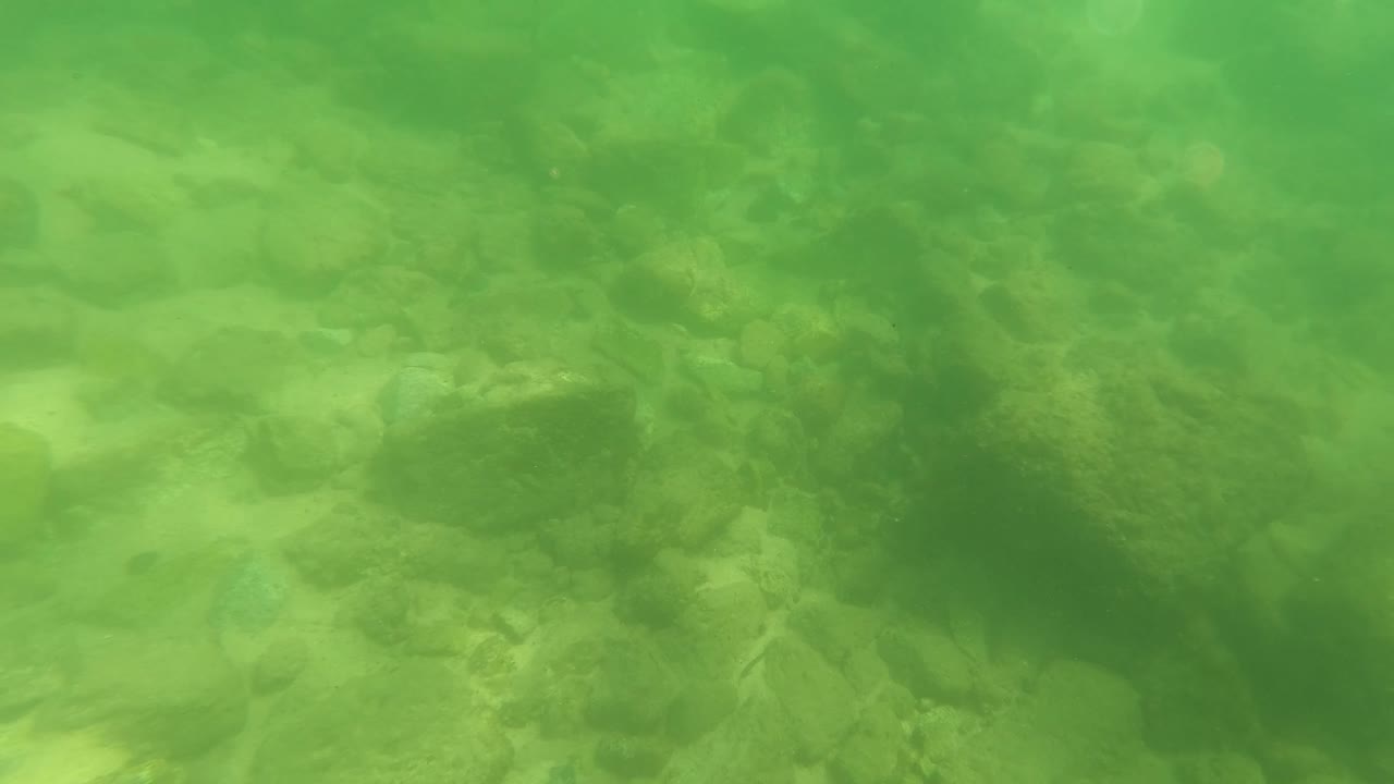 At 0:01, the frame holds on a green underwater riverbed in San Jose del Cabo, with soft light across stones and sand and no visible people.