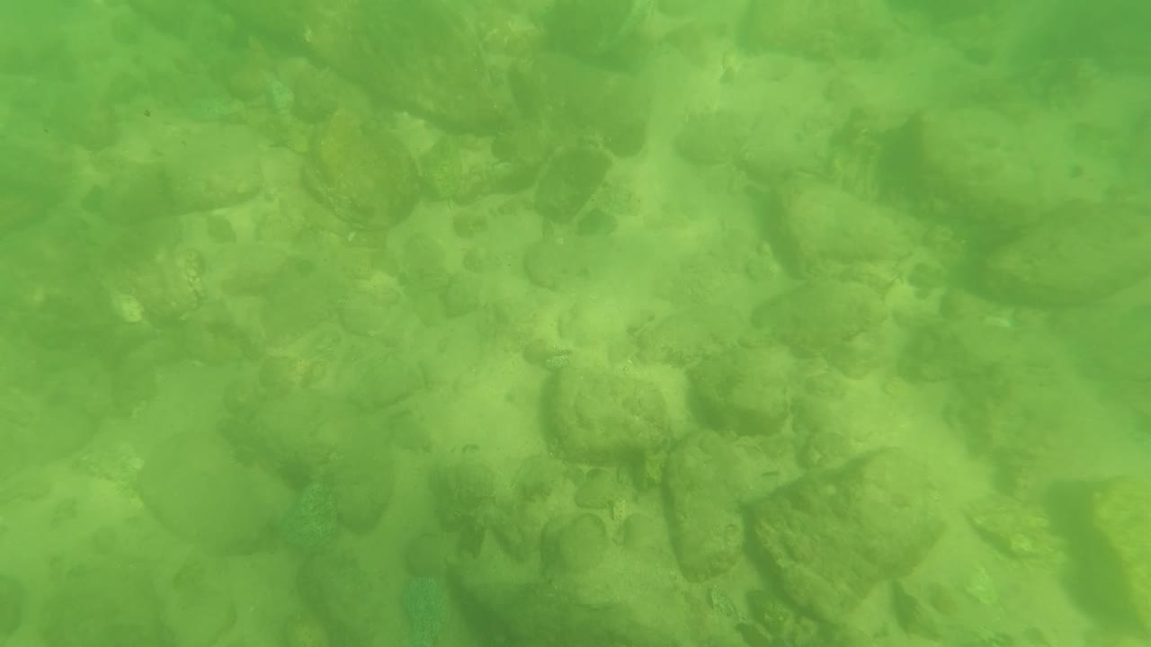 At 0:03, the underwater view shows a lower section of the San Jose del Cabo riverbed, with muted green water, scattered stones, and sand, with no visible people.