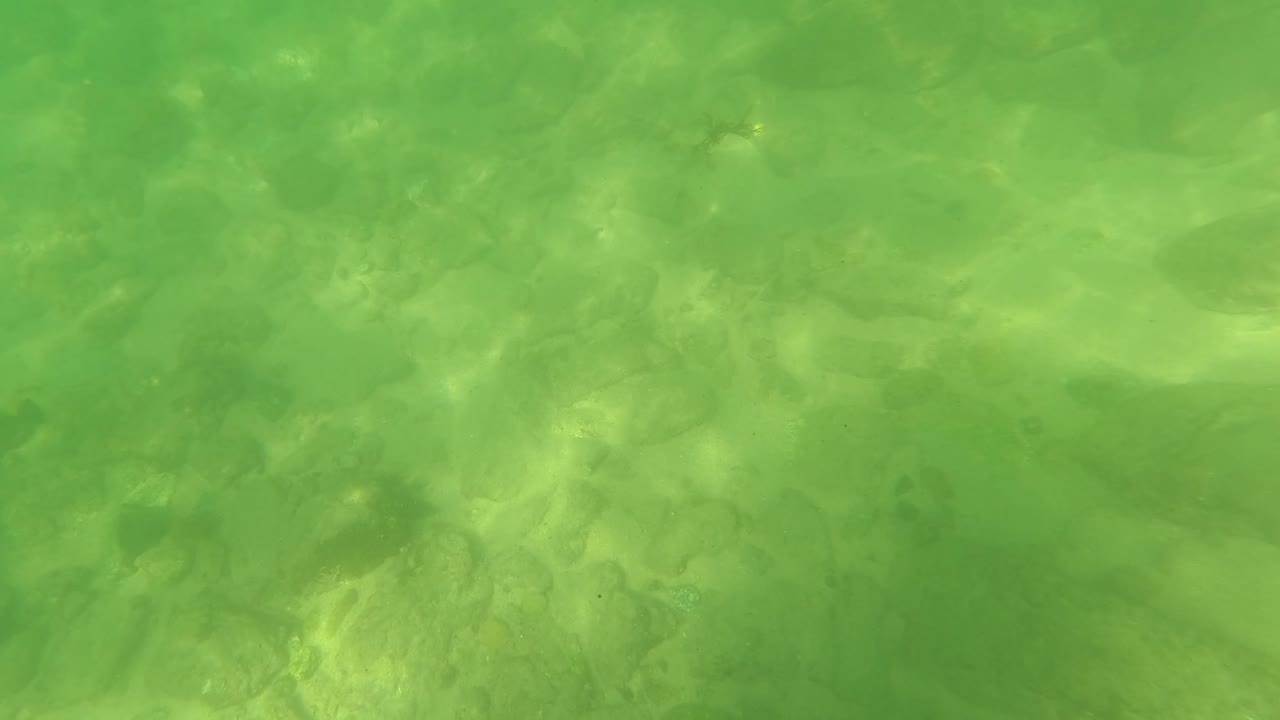 San Jose del Cabo underwater frame showing green clear water, pale rocks, sand, and soft refraction patterns across the bottom with no visible people.