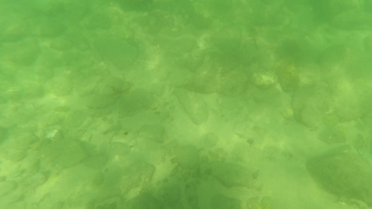 San Jose del Cabo underwater view with a broader patch of rocky sandy bottom under green water, marked by shifting light patterns and no visible people.