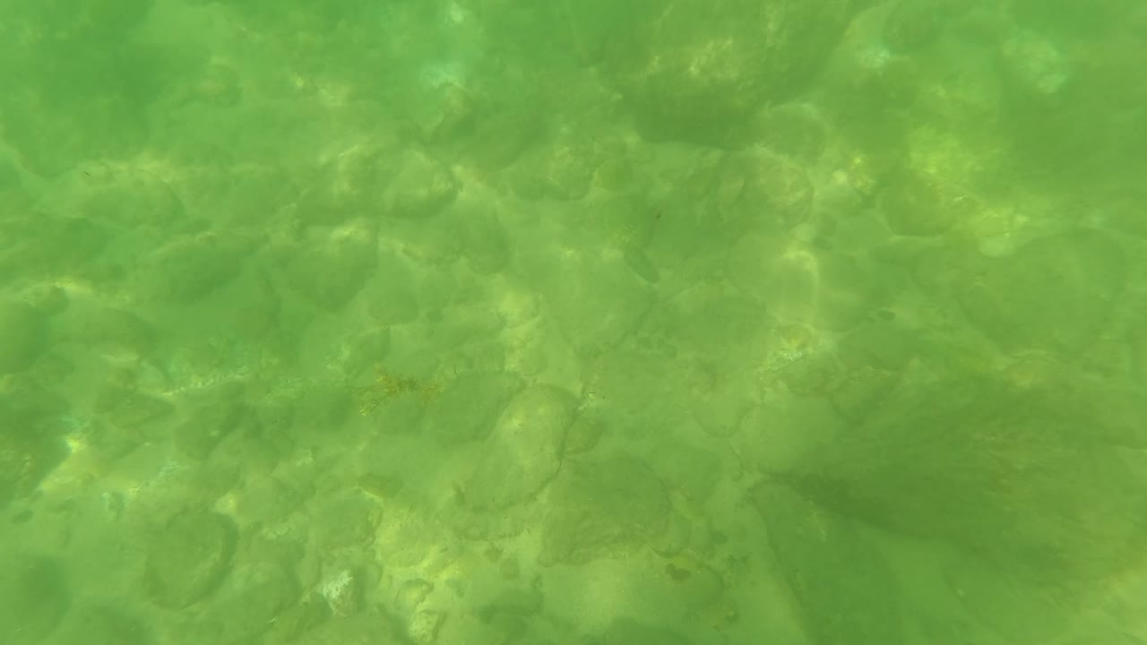 San Jose del Cabo underwater frame looking down through green water at muted rocks and sand, with no fin in view and no visible people.