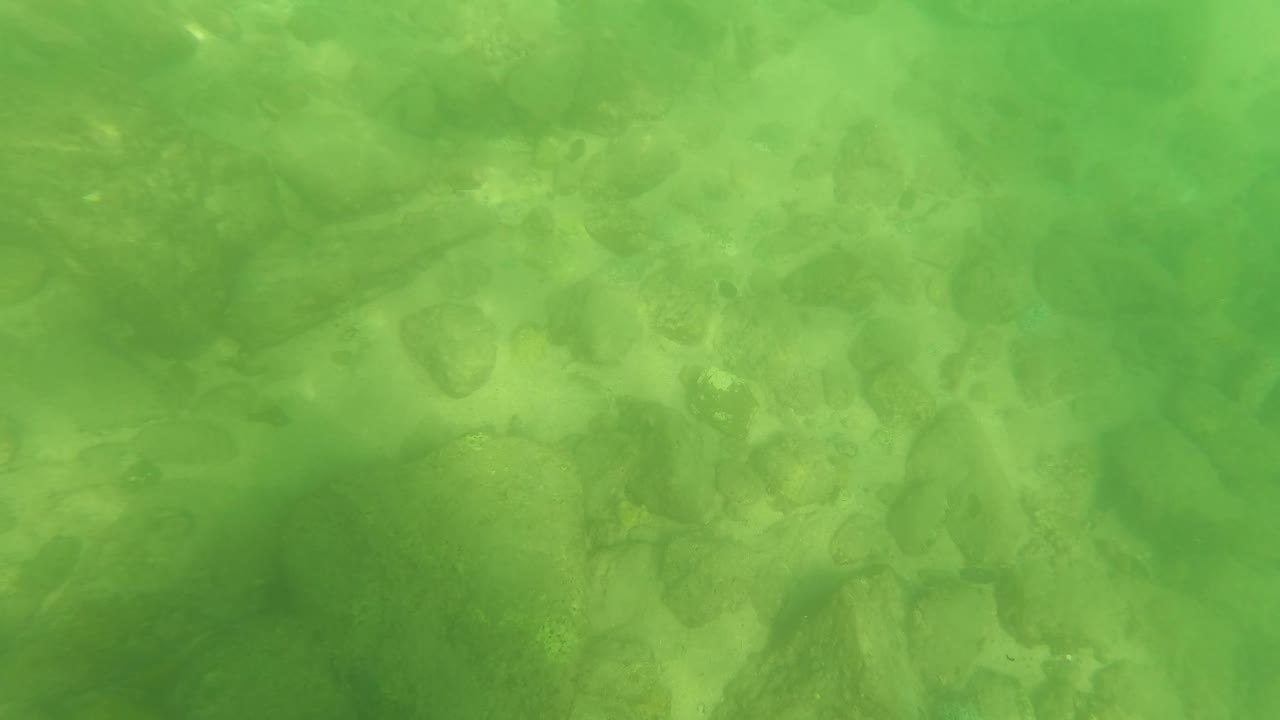 Green underwater view of rounded rocks and algae-covered stones.
