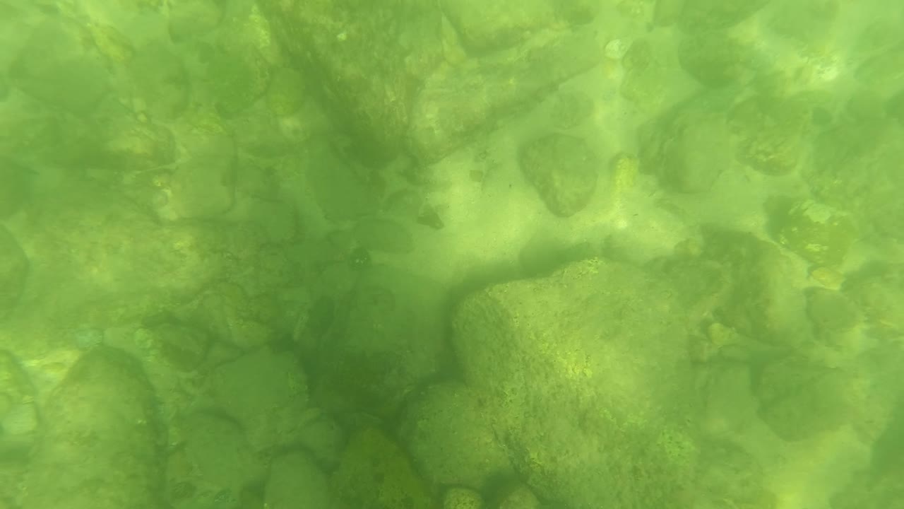 Underwater frame from San Jose del Cabo showing a denser patch of submerged stones under green water, with cloudy light patterns and no visible people.
