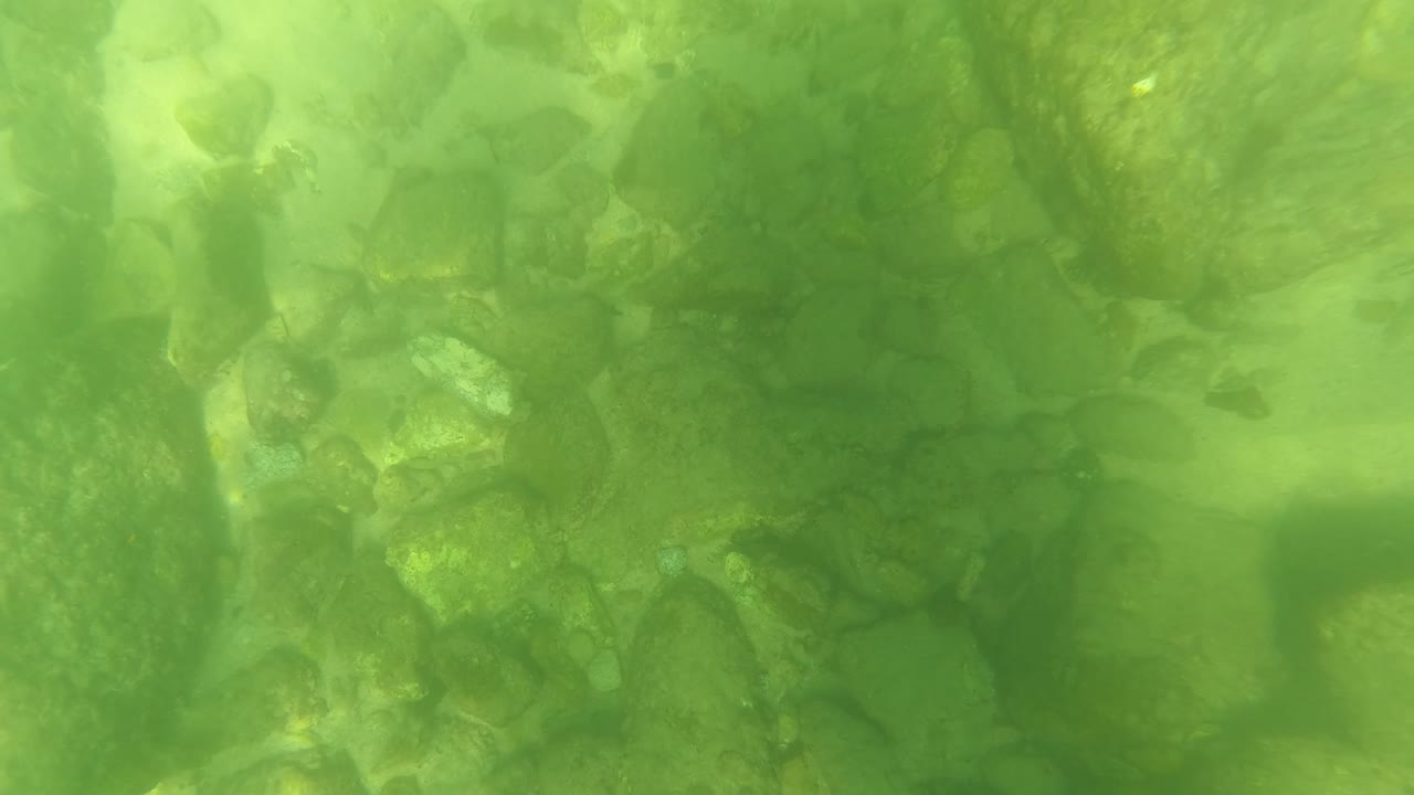 Underwater view in San Jose del Cabo with a larger rounded stone near the center, smaller rocks around it, green water, and no visible people.