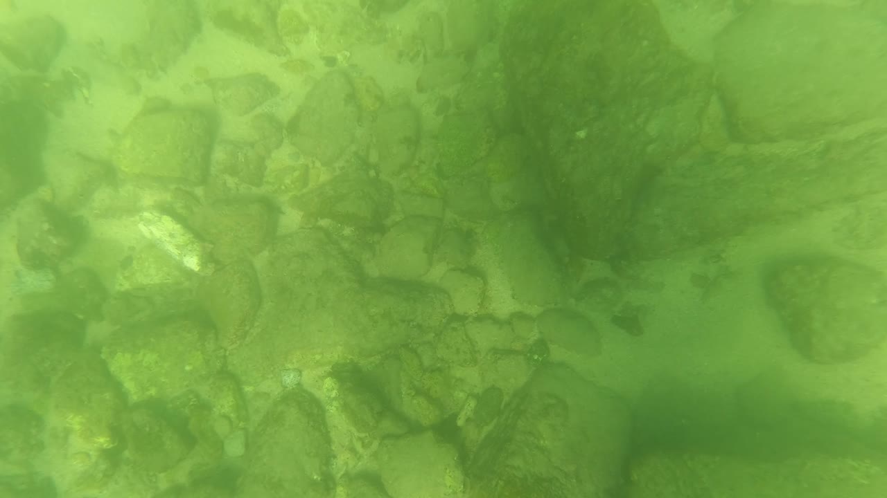 Underwater frame from San Jose del Cabo showing green water, dark rounded rocks, pale sediment between stones, and no visible people.