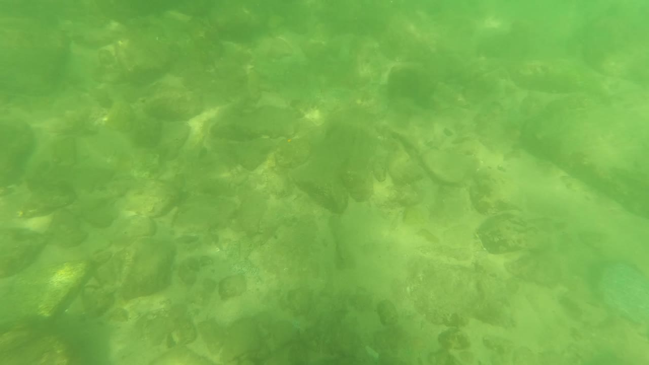 Opening underwater frame in San Jose Del Cabo showing green clear water over smooth riverbed rocks, with no visible people.
