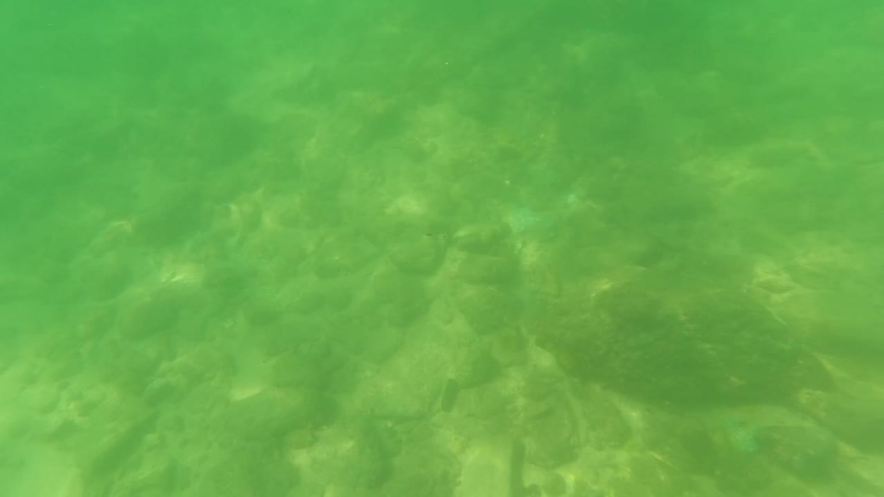 Mid-clip underwater view in San Jose Del Cabo where larger stones are visible through green-tinted water, with no visible people.