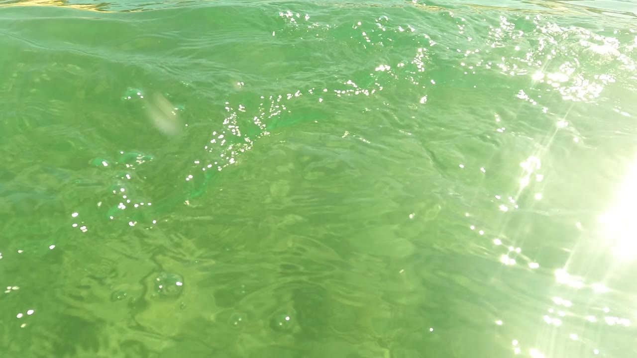 Sunlight flares across the green water surface in San Jose del Cabo, with small bubbles and ripples visible and no visible people in this frame.