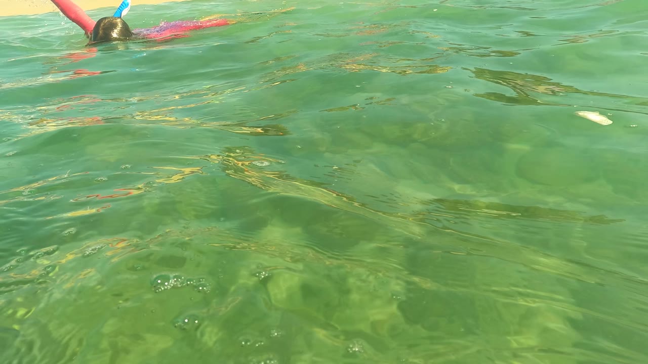 Partial snorkeler at the water surface above green water