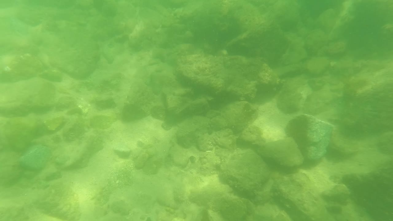 Opening underwater frame in San Jose del Cabo showing green-tinted clear water over rounded rocks and pebbles, with no visible people.