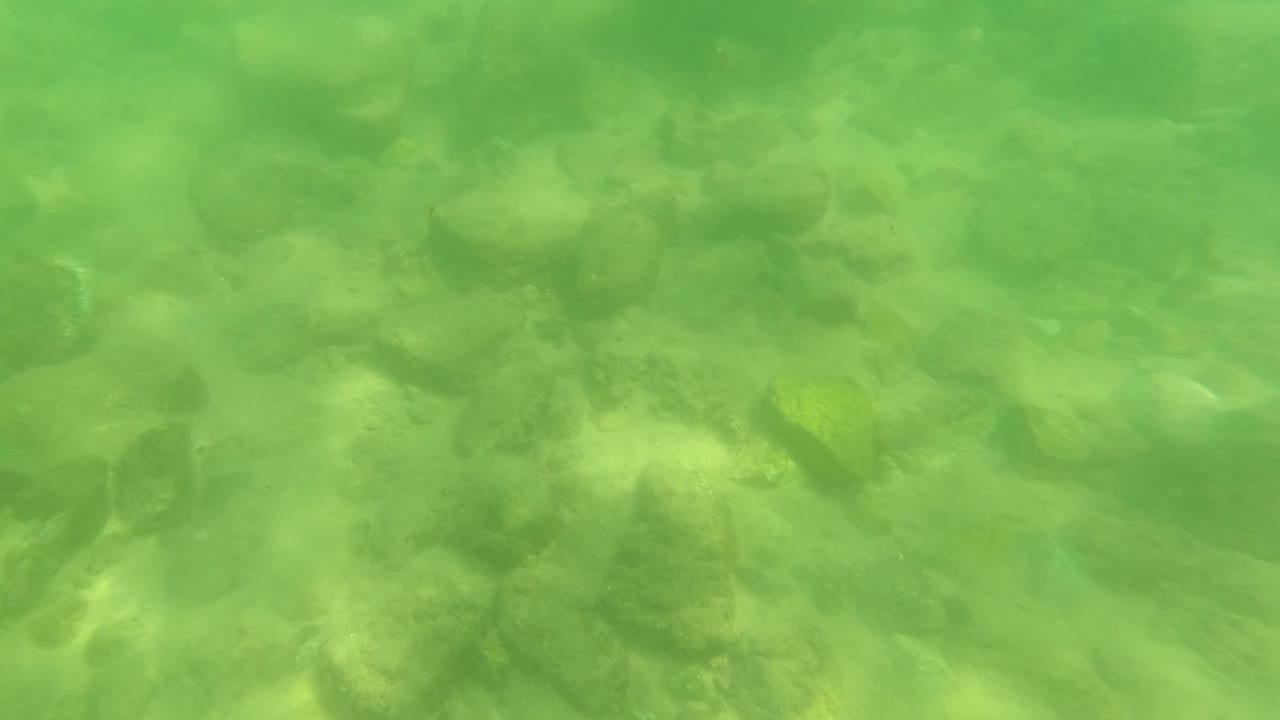 Submerged stones seen through green water