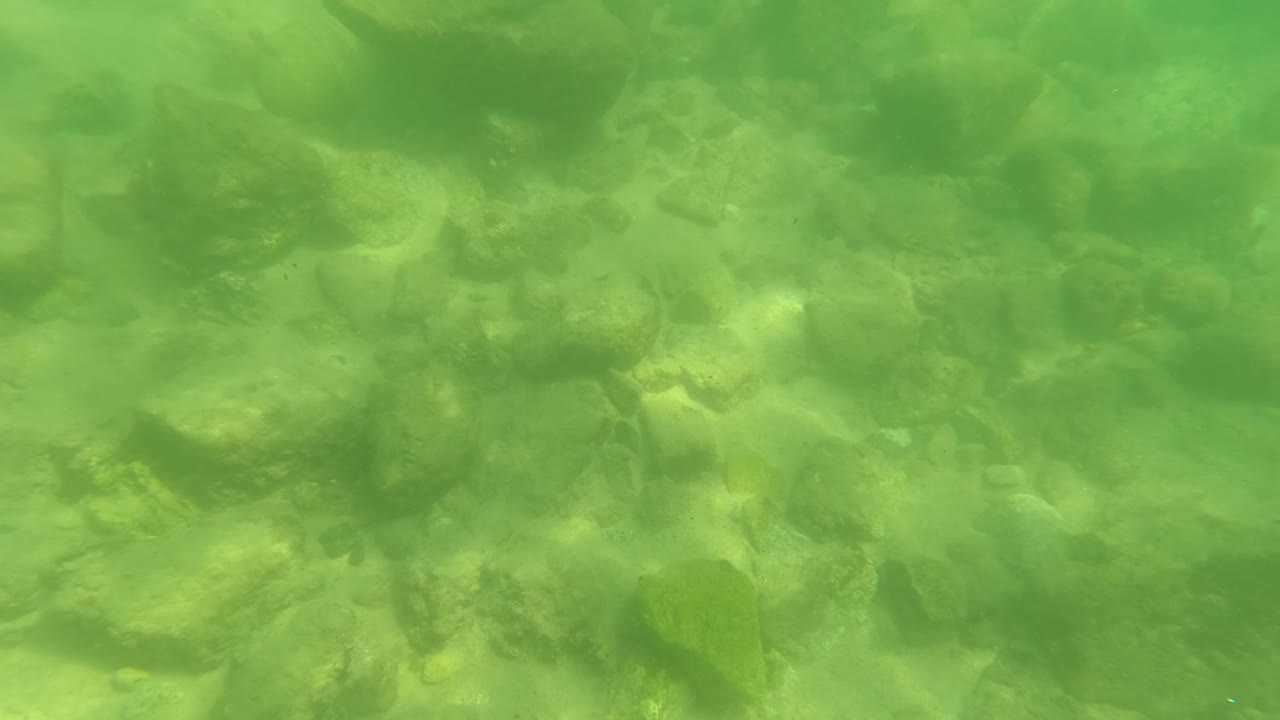 Mid-clip underwater view in San Jose del Cabo showing uneven rocks and pebbles beneath a green water cast, with no visible people.