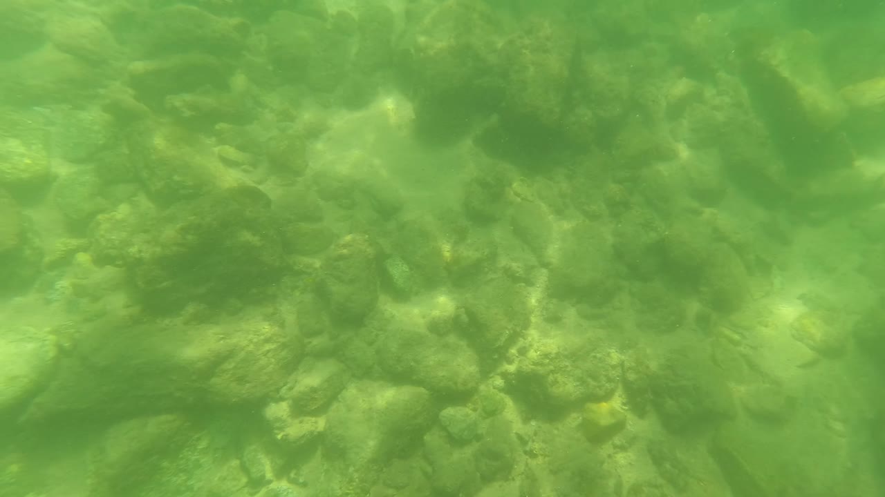 Green-tinted underwater view of a shallow rocky riverbed in San Jose del Cabo, Baja California Sur, with suspended particles and no visible people.