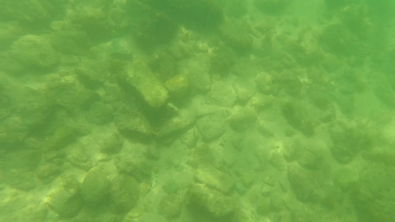Rocky underwater bottom seen through green shallow water.