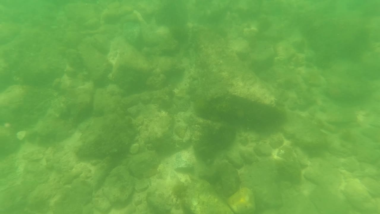 Small fish appear among rocks and pebbles on the shallow underwater bed in San Jose del Cabo, with green water and no visible people.