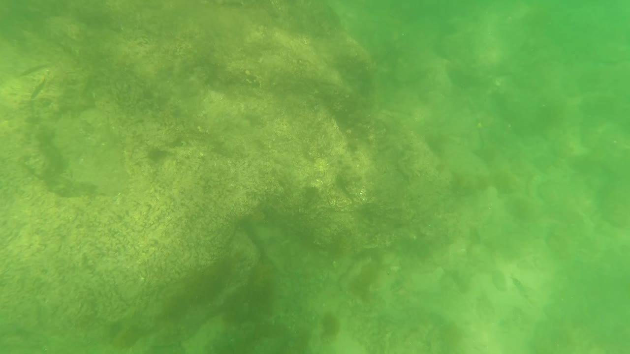 Green-tinted underwater view of rocky seabed in San Jose Del Cabo, Baja California Sur, with soft light, suspended haze, and no visible people.