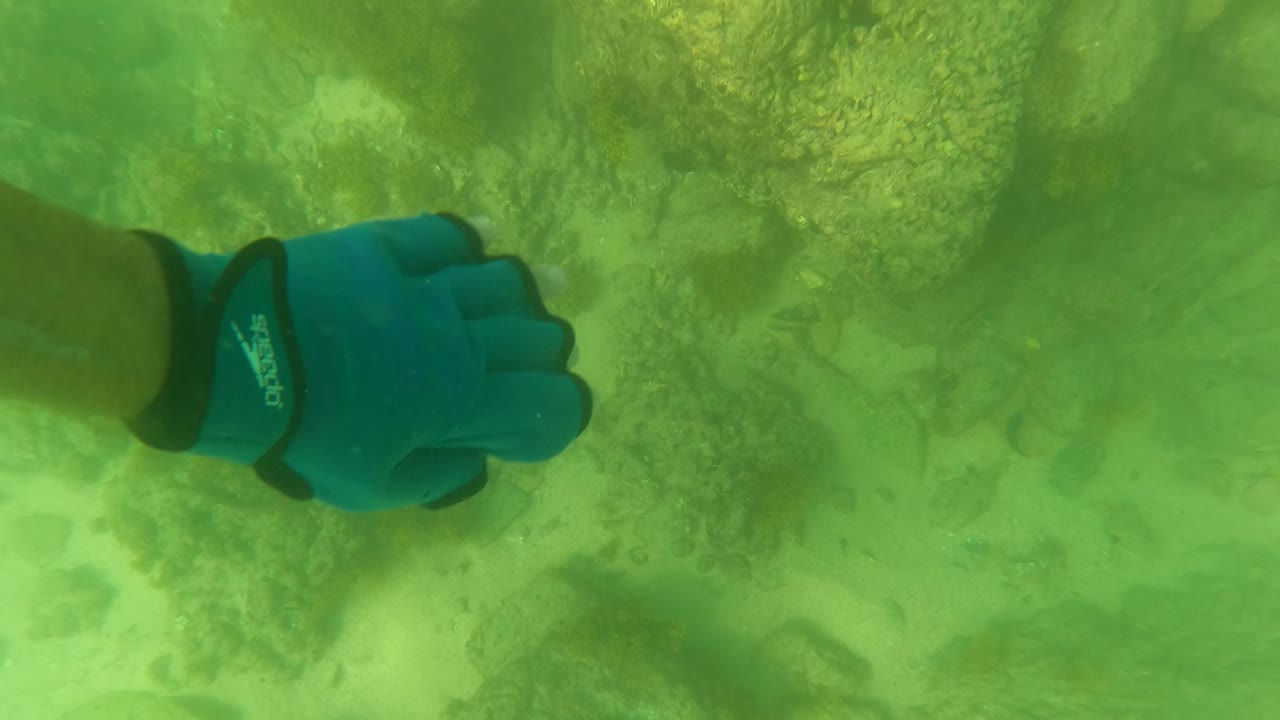 A blue-gloved diver hand enters the lower-left foreground beside rocky seabed in San Jose Del Cabo, with green water and small fish shapes near the bottom.