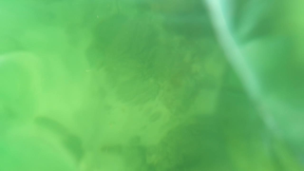 At 0:02, the frame shifts to a mostly empty green underwater view of the San Jose del Cabo seabed, with coral shapes and a soft blurred edge at the right.