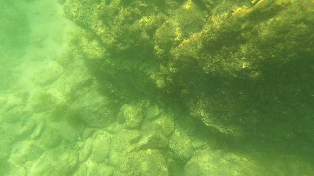 Underwater rocky seabed in green clear water.