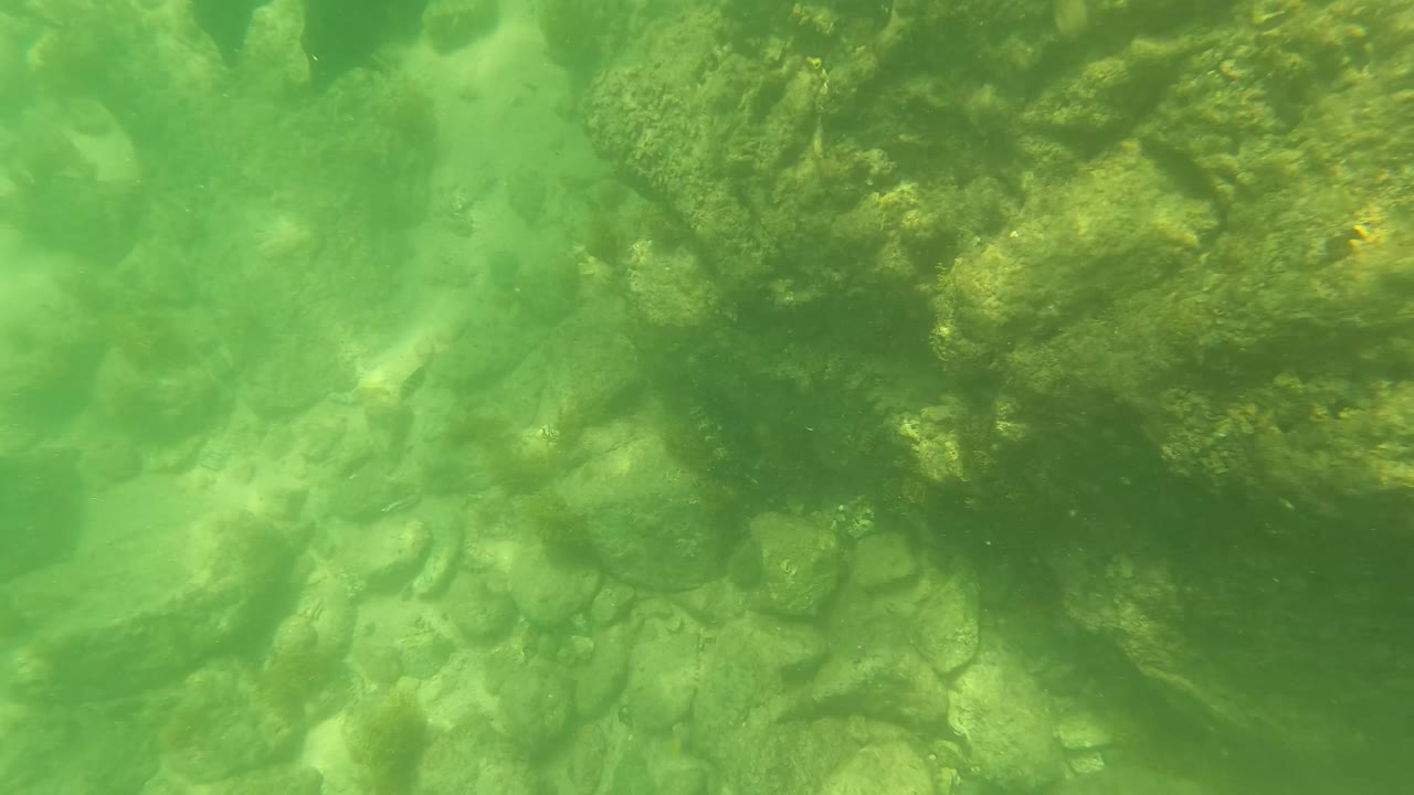 Underwater San Jose Del Cabo, Mexico frame showing mottled rocks, algae growth, and pale bottom areas through green water, with no visible people.