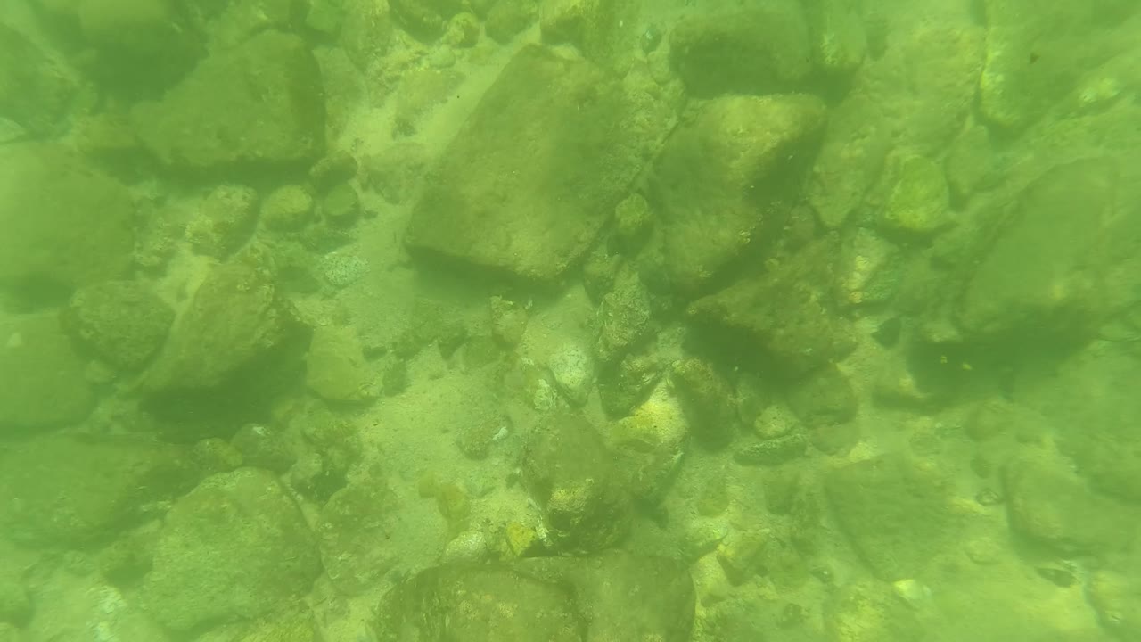 Underwater view in San Jose Del Cabo, Baja California Sur, showing a green-tinted rocky riverbed over pale sand with no visible people.