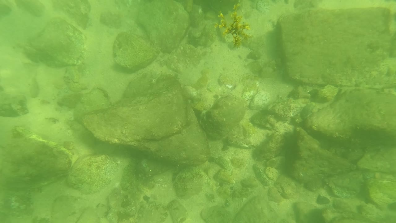 A downward underwater frame in San Jose Del Cabo, Baja California Sur, with scattered stones, pale sand, and green water, with no visible people.