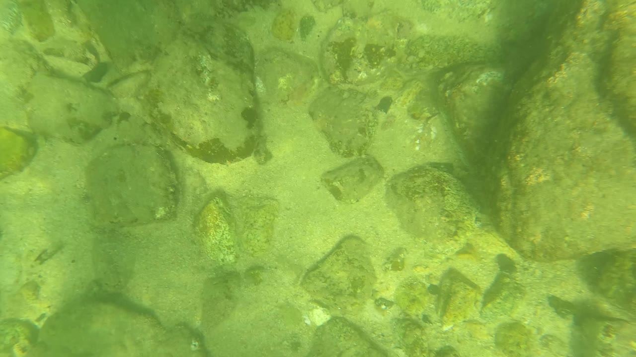 The frame shows larger rounded rocks across a sandy underwater bottom in San Jose Del Cabo, Baja California Sur, with no visible people.