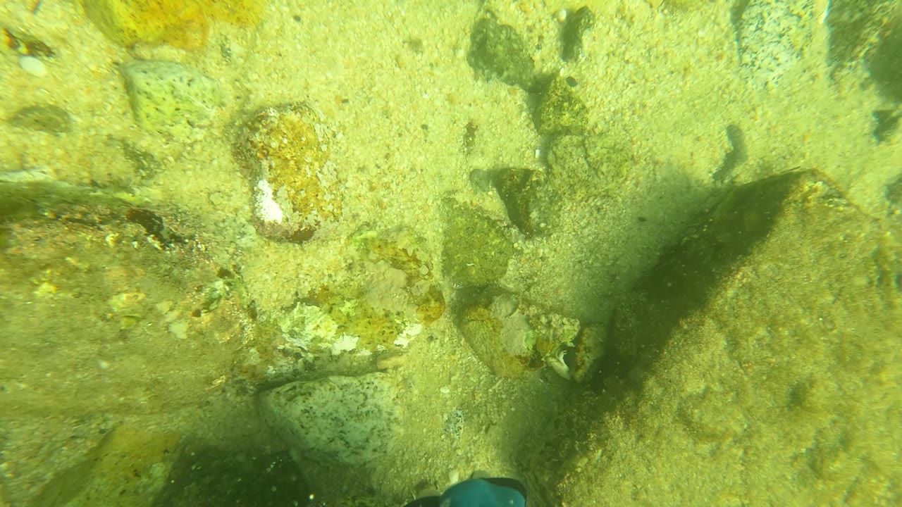 Bright sandy underwater bottom with rocks and shadowed patches.