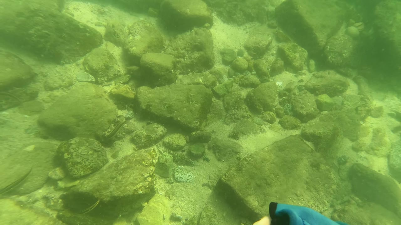Underwater rocks beneath green water with a blue glove entering frame.
