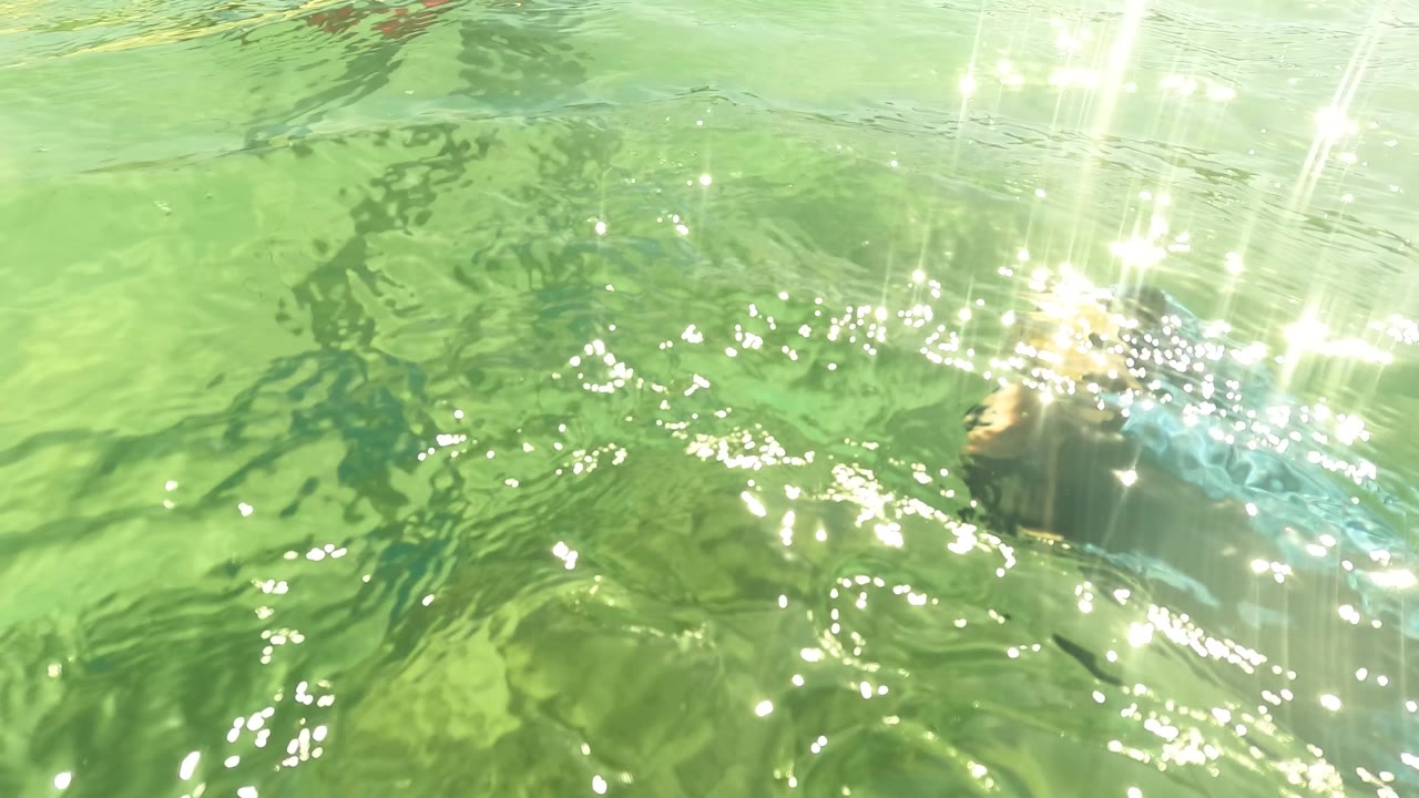 Underwater view in San Jose Del Cabo, Mexico looking toward the rippled surface, with bright sunlight reflections and rocks fading through green water below.