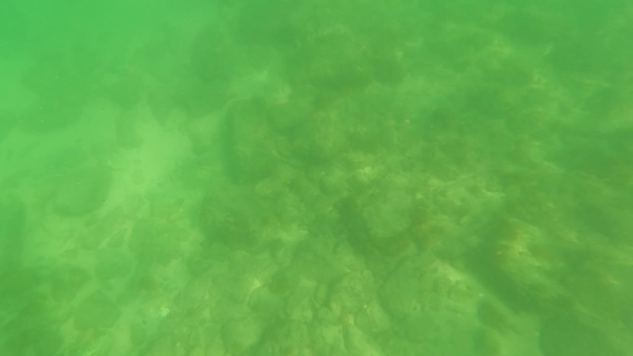 Underwater view in San Jose Del Cabo showing green-tinted water over a rocky and sandy seabed, with no visible people.