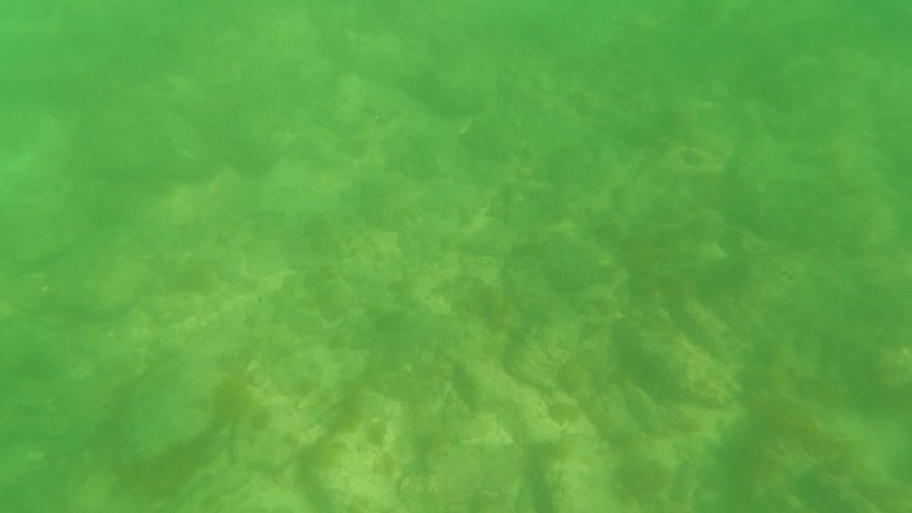Submerged rocks and sand seen through green water