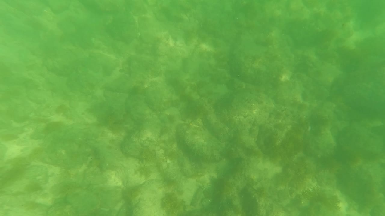 Underwater seabed in San Jose Del Cabo with uneven rock texture and cloudy green surface tint, with no visible people.