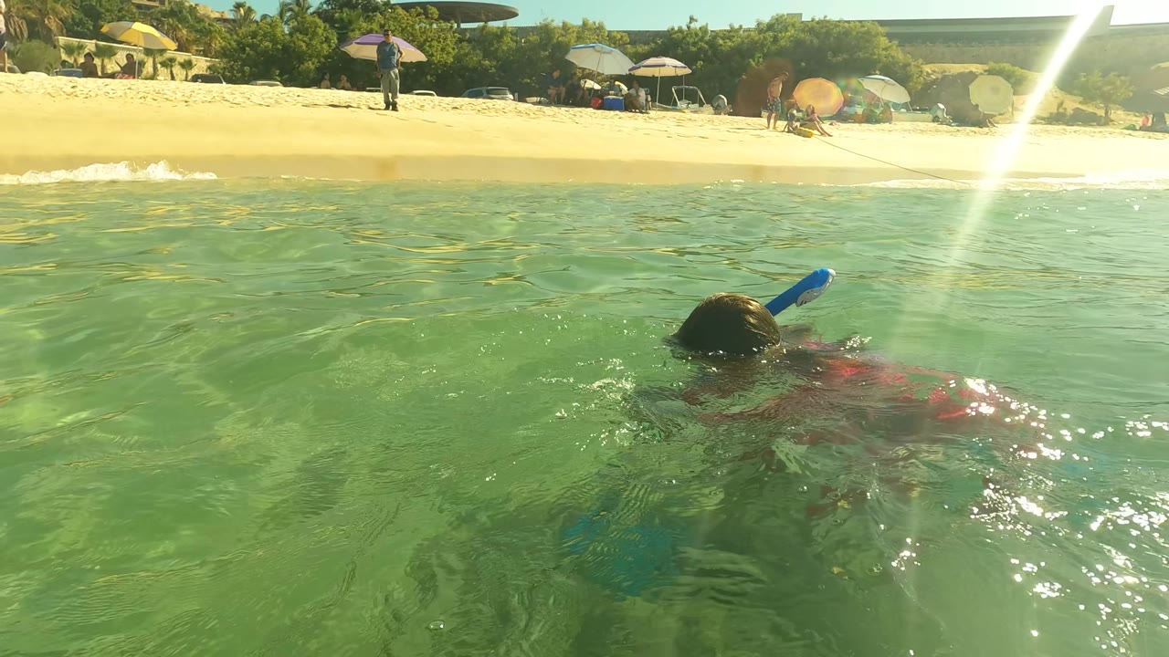 Water-level view of beach umbrellas and a child snorkeling near shore.
